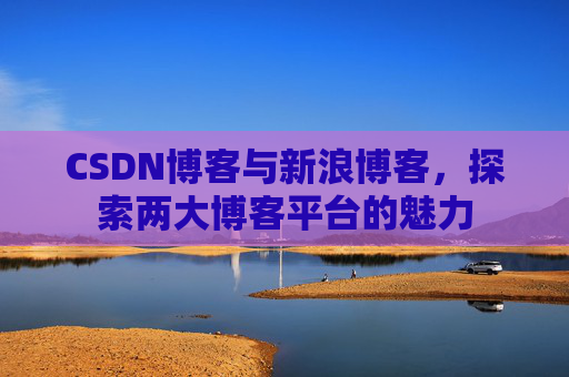 CSDN博客与新浪博客，探索两大博客平台的魅力